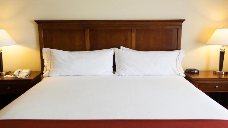 장애인을 위한 킹사이즈 침대 스탠다드 룸, Holiday Inn Express Turlock, An Ihg
