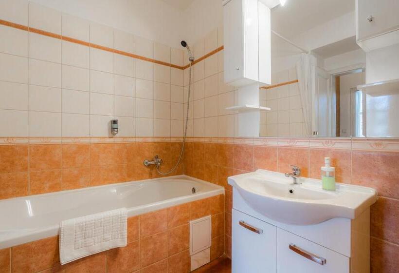 آپارتمان سوپریور 1 خوابه, Ea Aparthotel Melantrich