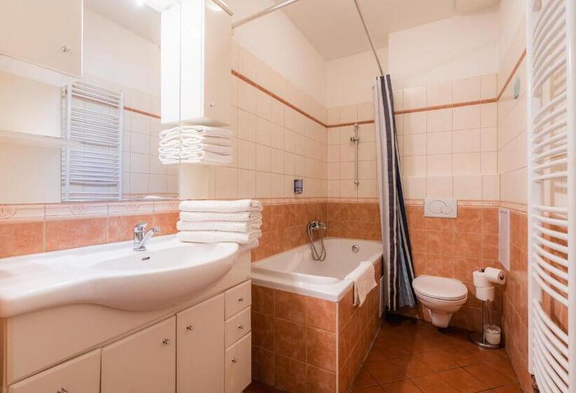 آپارتمان 1 خوابه با بالکن, Ea Aparthotel Melantrich