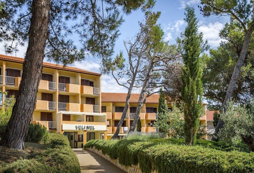 Номер Стандарт, San Marino Resort