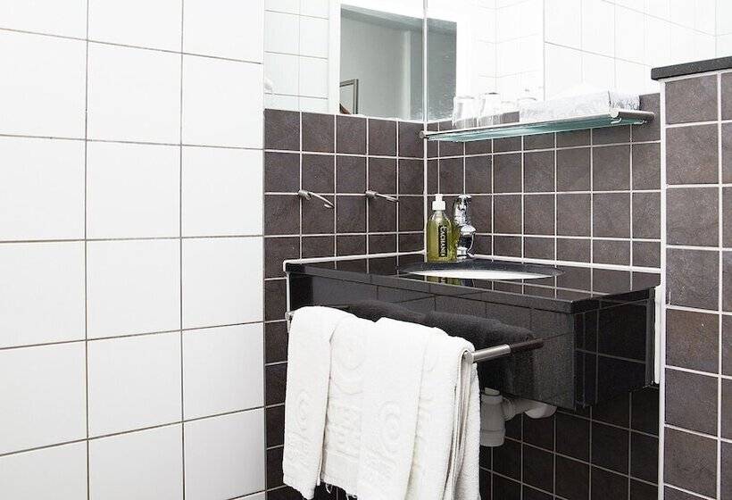 اتاق استاندارد با چشم‌انداز دریا, Center Hotels Arnarhvoll