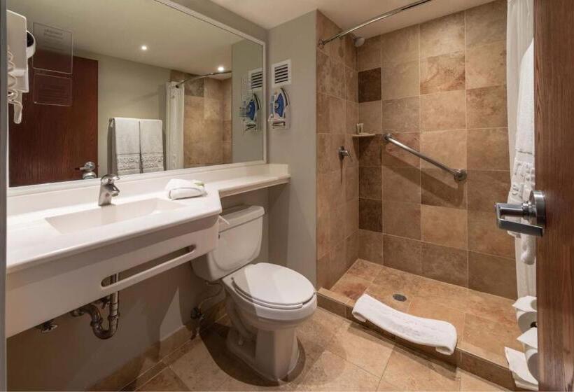 اتاق استاندارد, City Express by Marriott Chihuahua