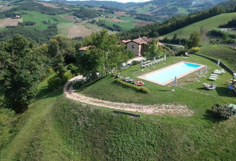 Номер Стандарт, Lodole B&b
