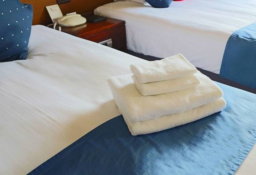 Номер Премиум, Premier Hotel Nakajima Park Sapporo