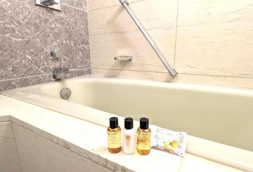 Люкс Вид на Город, Premier Hotel Nakajima Park Sapporo