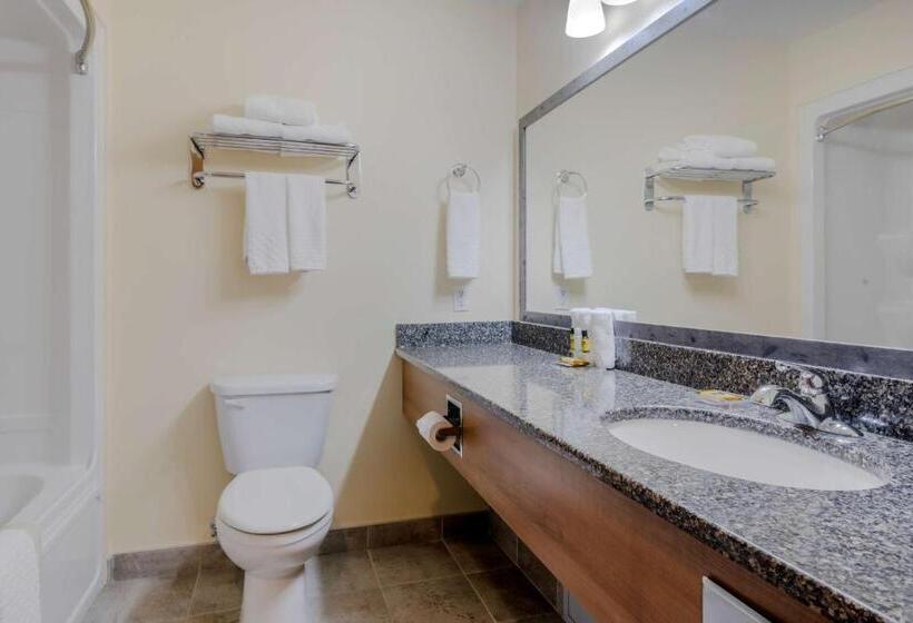 Номер Стандарт, Best Western Plus Woodstock Hotel Conference Centre