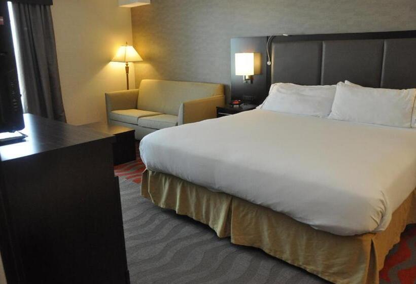 스탠다드 룸 킹사이즈 침대, Holiday Inn Express Hotel & Suites Barrie, An Ihg