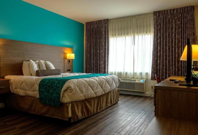 스탠다드 룸 킹사이즈 침대, Motel 6 Sault Ste. Marie, On