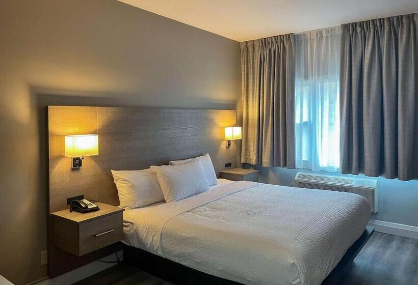 스탠다드 룸 킹사이즈 침대, Motel 6 Sault Ste. Marie, On
