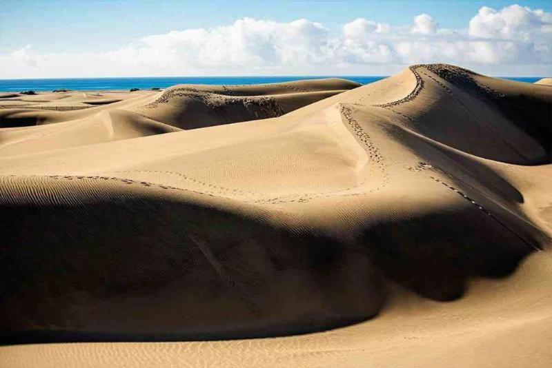 חדר סטנדרט, Bungalows Maspalomas Oasis Club - All Inclusive