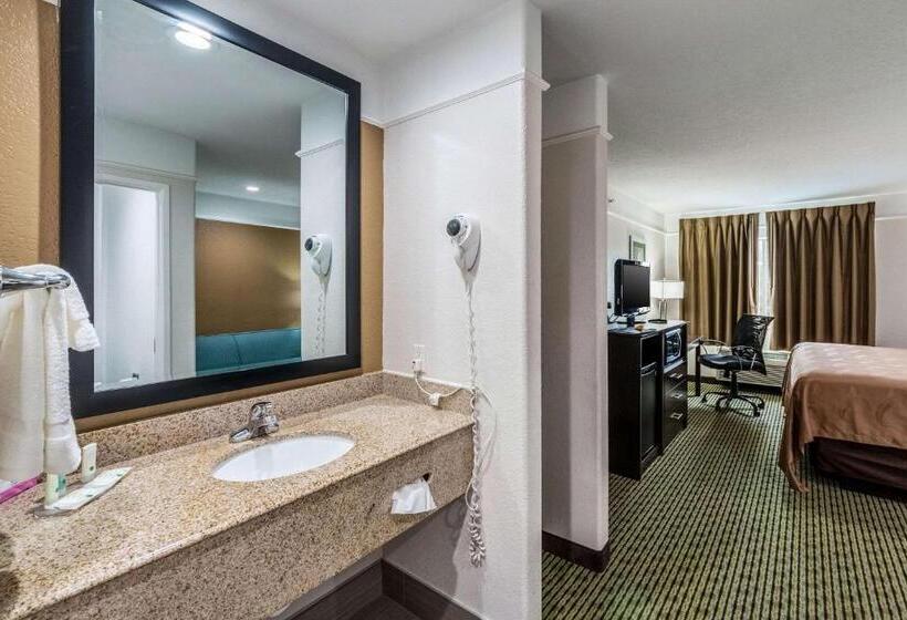 Habitació Estàndard Llit King, Quality Inn & Suites Seaworld North
