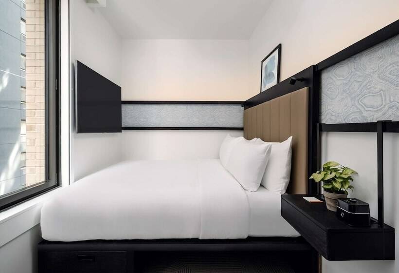 标准间带双人床, Arlo Midtown