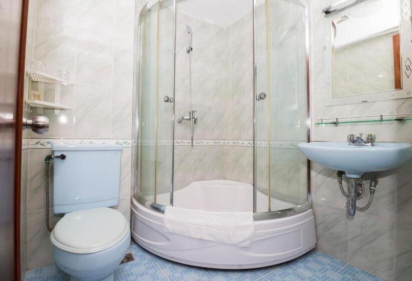 اتاق سوپریور با چشم‌انداز دریا, Rex Hotel Vung Tau