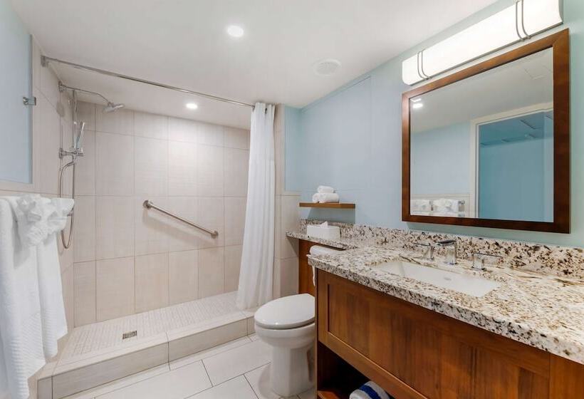 침실 1개 바다 전망 아파트, Hilton Vacation Club Royal Palm St. Maarten