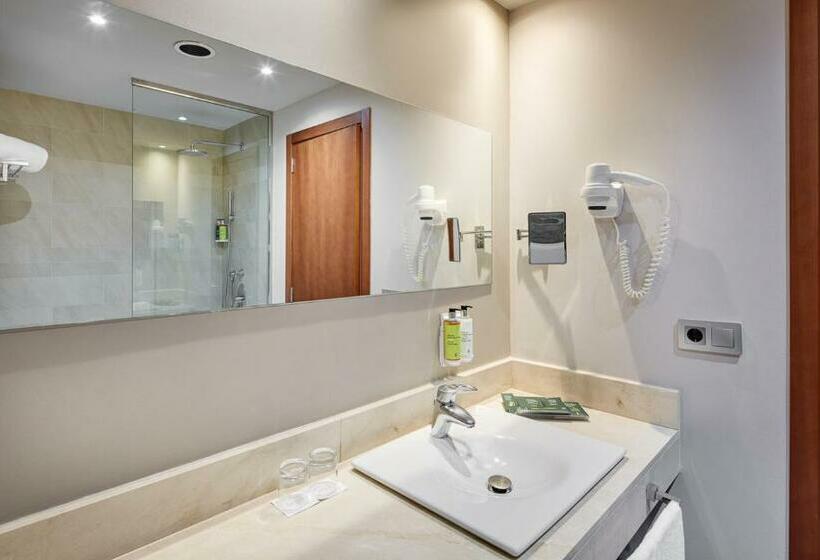 Номер Стандарт, Sercotel Ciutat De Montcada