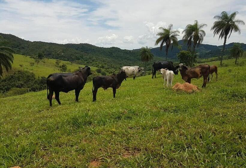 Шале 1 Спальня, Pousada Rancho Flores