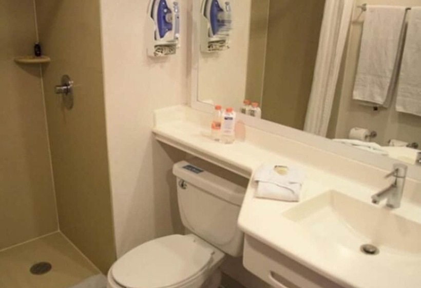 חדר סטנדרט שתי מיטות זוגיות, City Express By Marriott Tepotzotlán