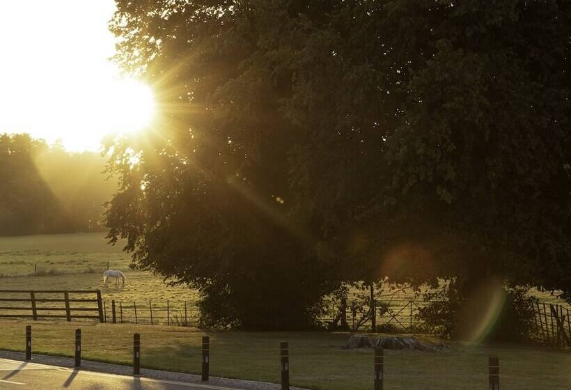 Люкс, Castlemartyr Resort