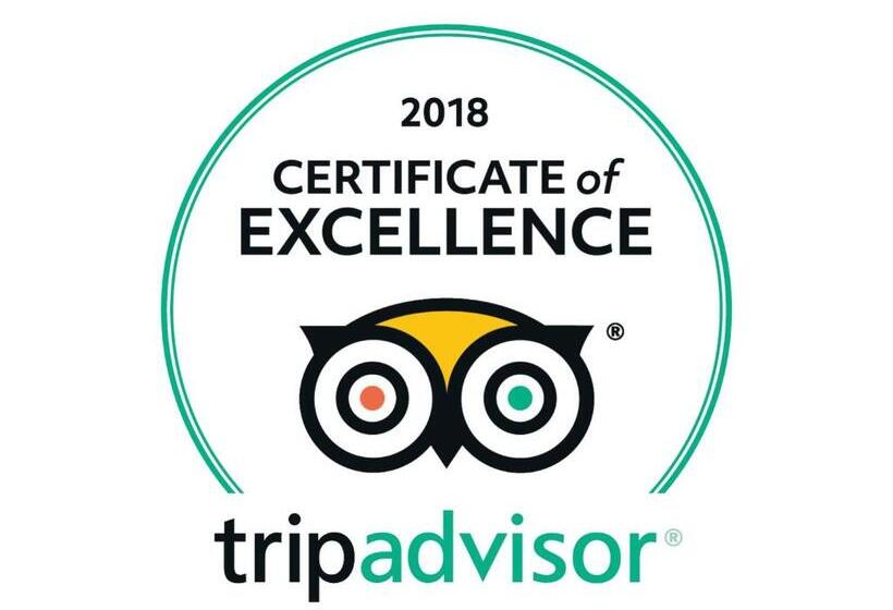 スタンダードシングルルーム, Naama Blue