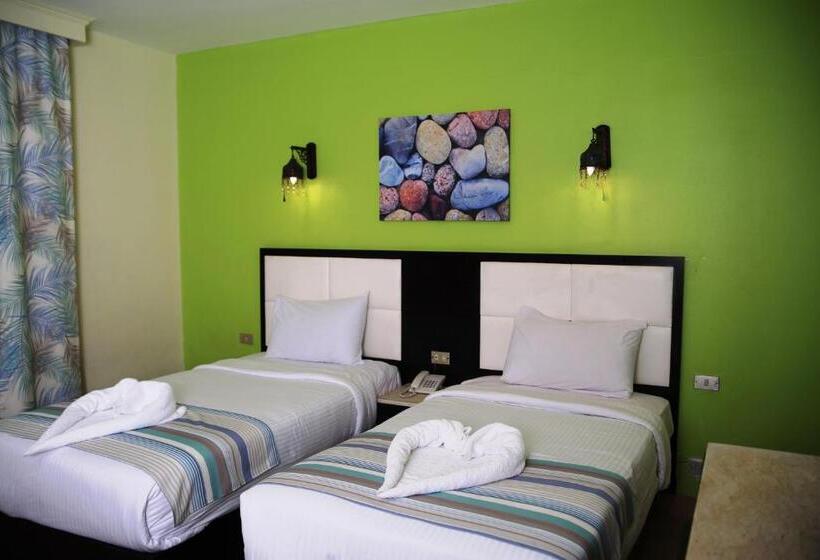 エコノミールーム, Naama Blue