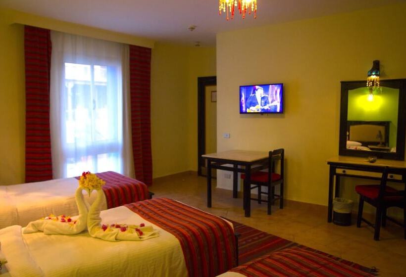 スタンダードトリプルルーム, Naama Blue