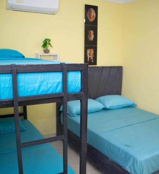 اتاق استاندارد چهار تخته, Comfort House