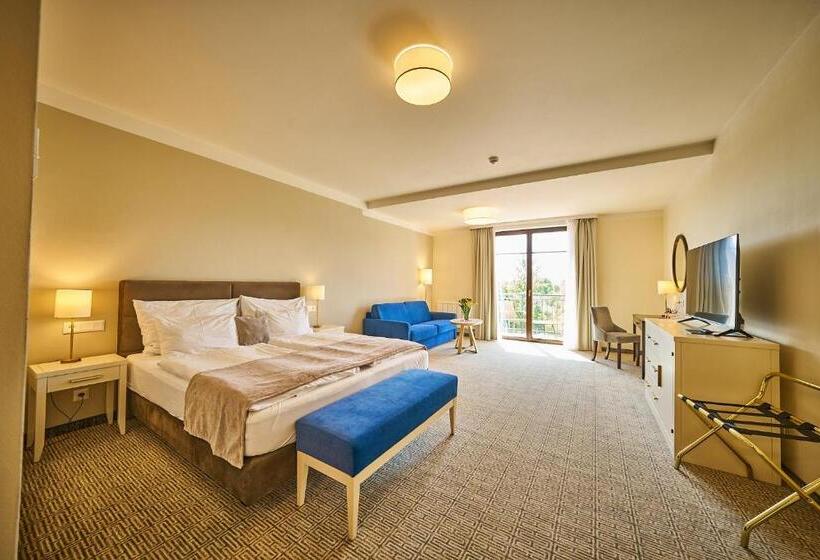 小型套房, Wellness Hotel Queens