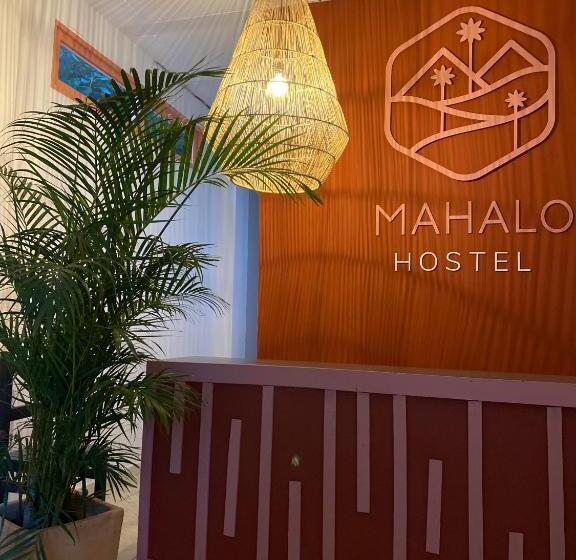 4인용 스탠다드 룸, Mahalo Hostel