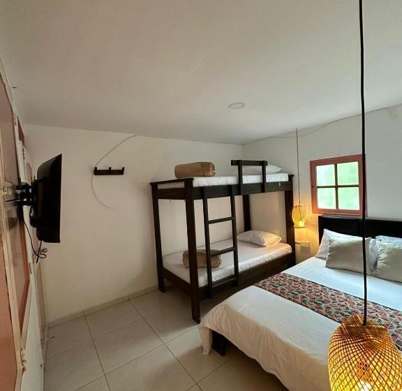 4인용 스탠다드 룸, Mahalo Hostel