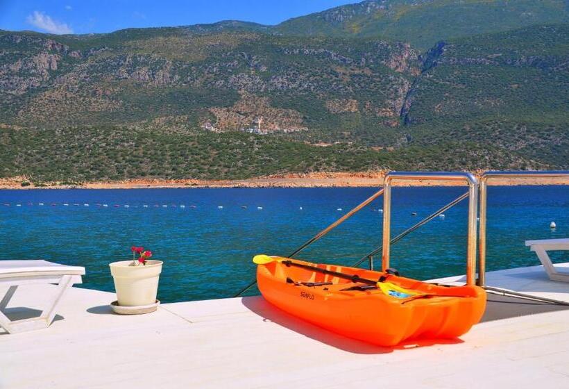 Номер Стандарт Трехместный, Club çapa