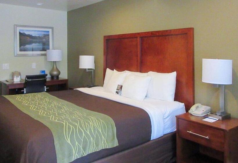 스탠다드 룸 킹사이즈 침대, Comfort Inn Bishop