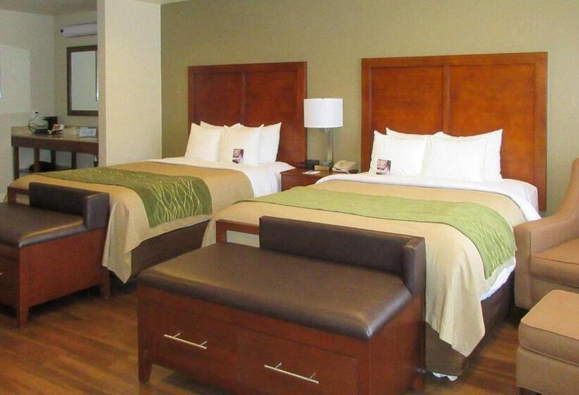 스탠다드 룸, Comfort Inn Bishop