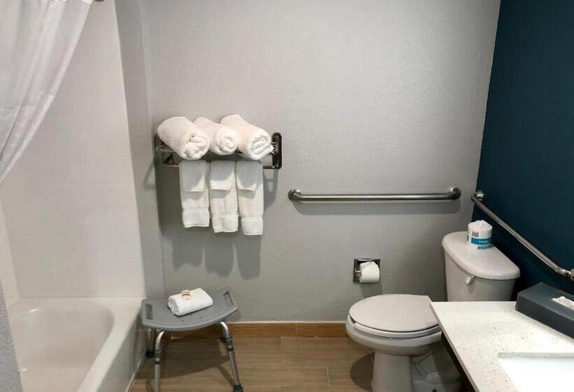 اتاق استاندارد برای معلولان, La Quinta By Wyndham Tampa Central
