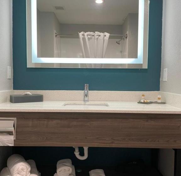 اتاق استاندارد برای معلولان, La Quinta By Wyndham Tampa Central