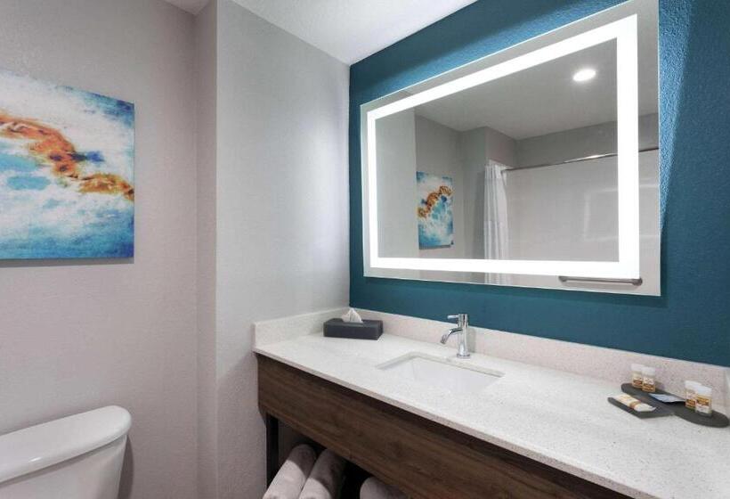 סוויטת סופריור, La Quinta By Wyndham Tampa Central