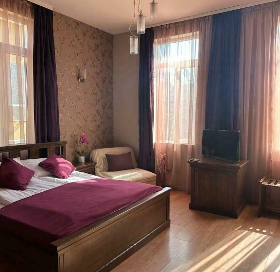 اتاق استاندارد, Vidin
