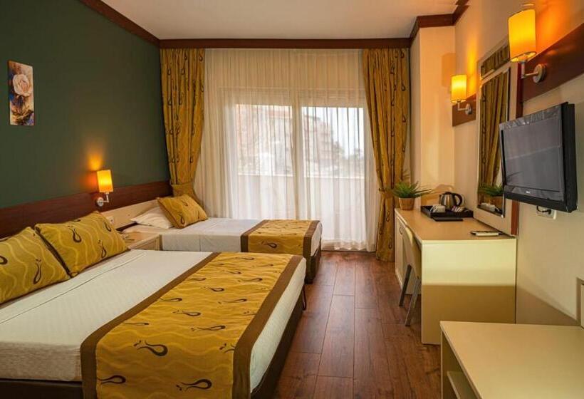 Quarto Estandar, Dg Hotels Rose Resort