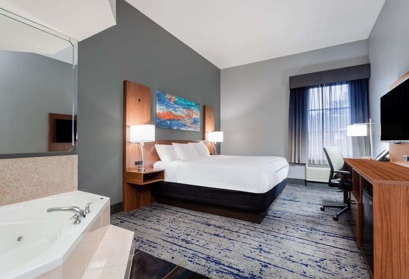 高级工作室, La Quinta Inn & Suites By Wyndham St. Petersburg Northeast