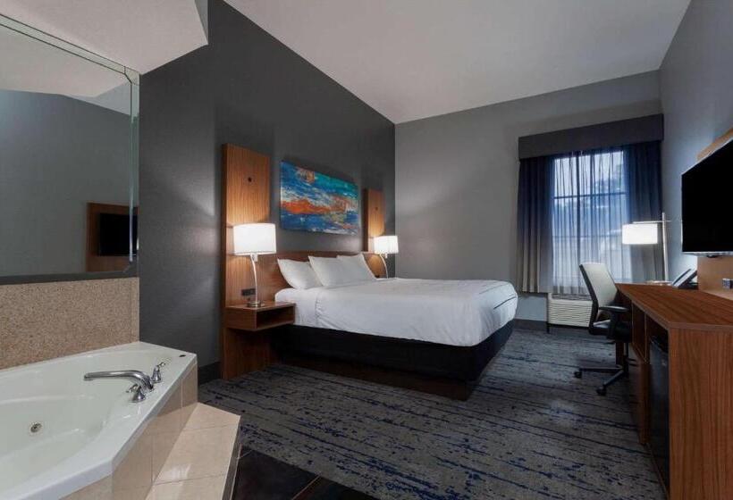 高级工作室, La Quinta Inn & Suites By Wyndham St. Petersburg Northeast