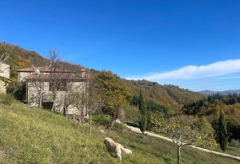 Апартаменты 1 Спальня, Bio Agriturismo Il Vigno