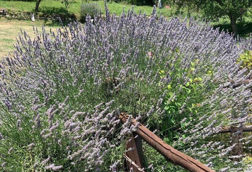 Номер Стандарт, Bio Agriturismo Il Vigno