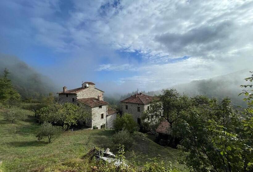 Люкс Superior, Bio Agriturismo Il Vigno