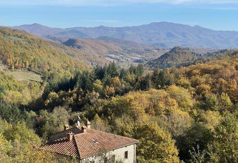Апартаменты 1 Спальня Вид на Бассейн, Bio Agriturismo Il Vigno