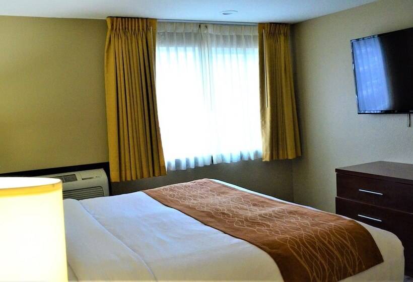 Люкс Кровать Кинг, Comfort Inn & Suites Beaverton   Portland West
