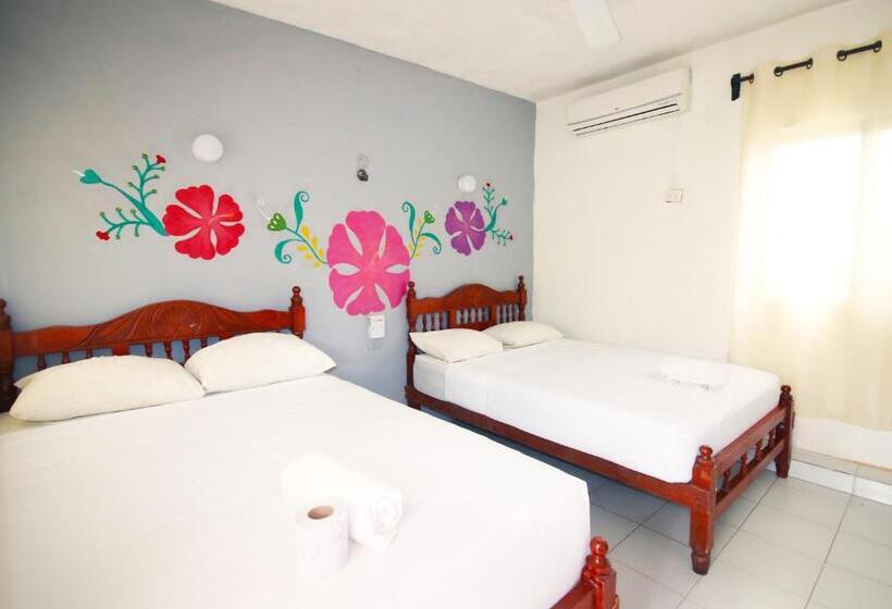 ２ダブルベッドのスタンダードルーム, Los Arcos Holbox