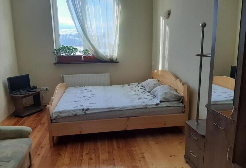 Номер Стандарт, у мирослави