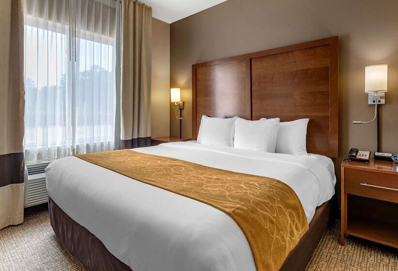 Люкс, Comfort Suites Coralville I80
