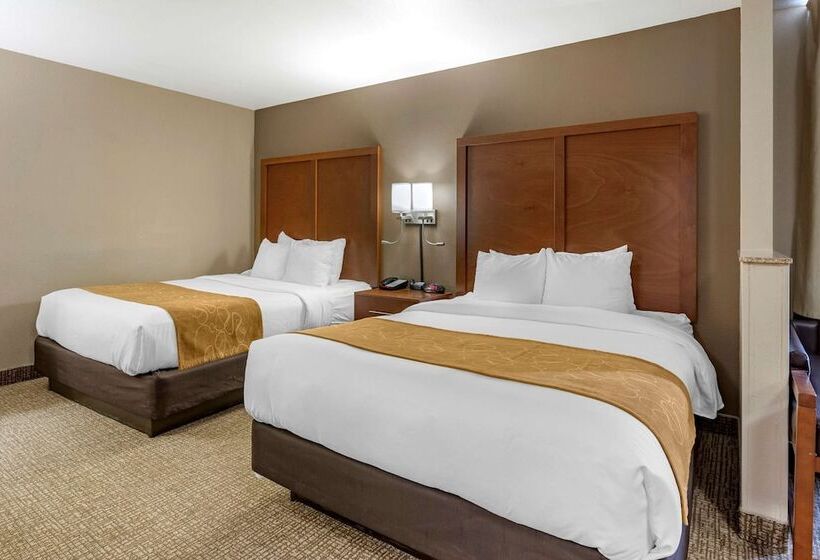 Люкс, Comfort Suites Coralville I80