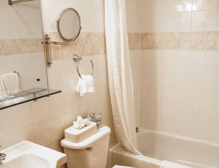 豪华房间, Econo Lodge Times Square