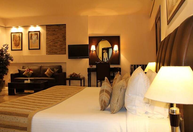 套房, Shanti Palace Mahipalpur